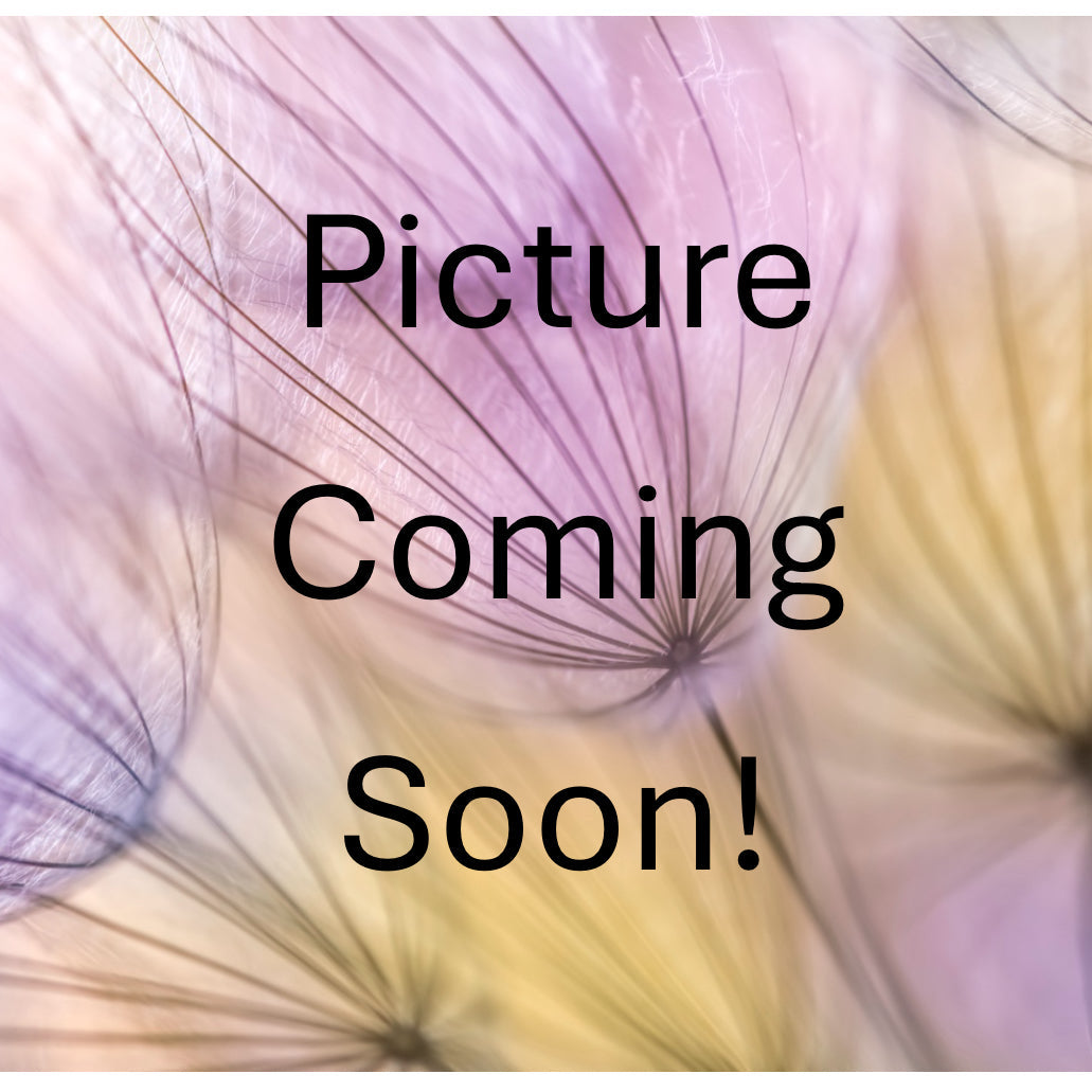 Vanilla Hollow Collection