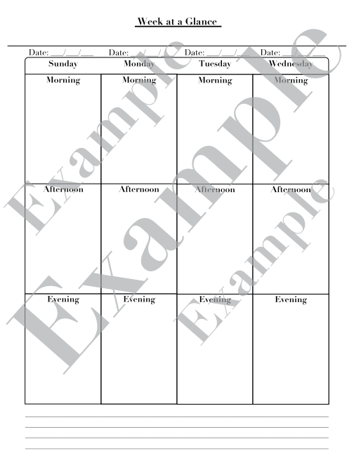 Planner/Journal Pages